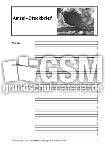 Amsel-Steckbrief-B-SW-2.pdf